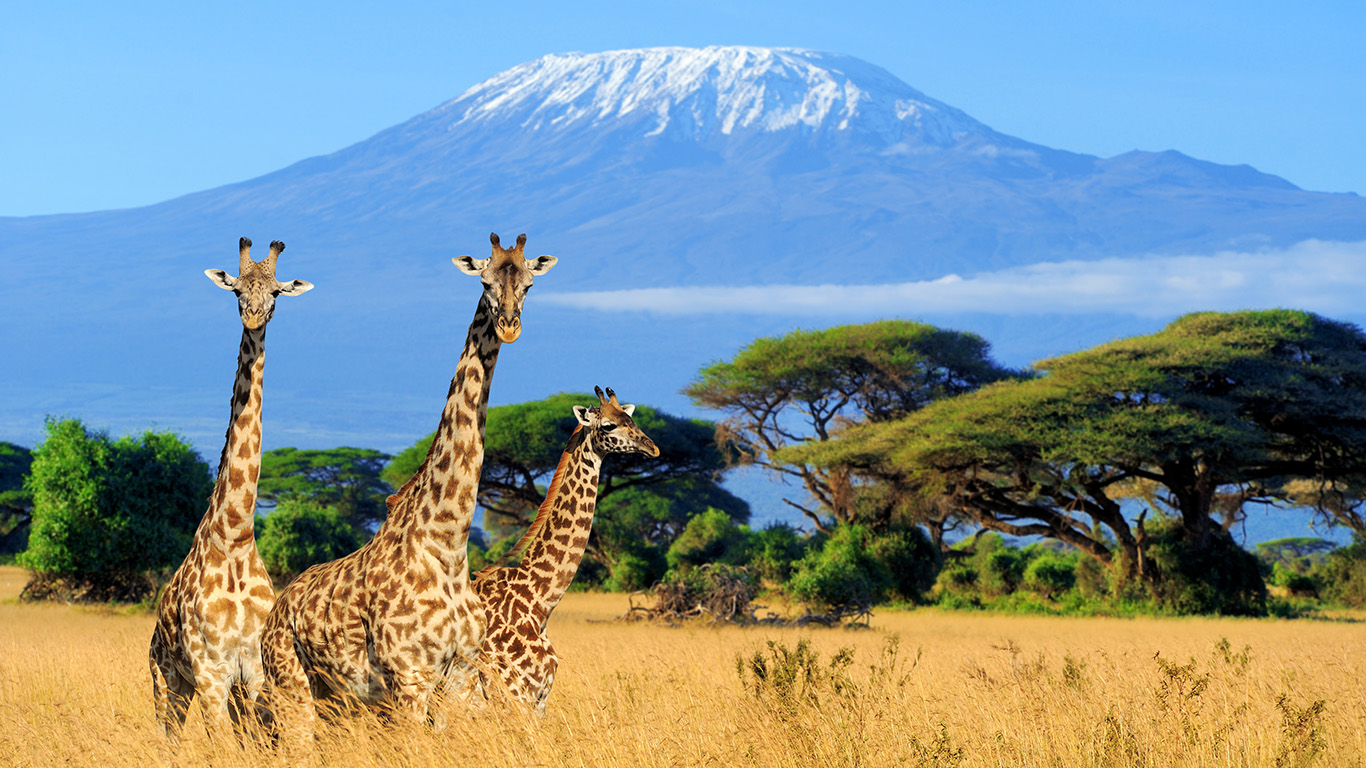 Africa Kenya Wildlife Safari